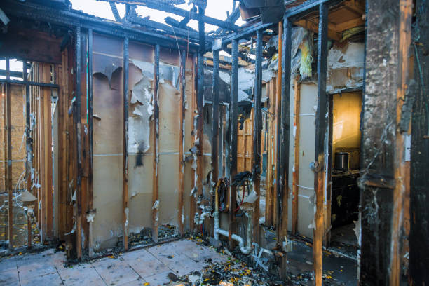 Professional Fire Damage Removal technician working in Horseshoe Bend, AR